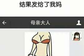 河东侦探取证